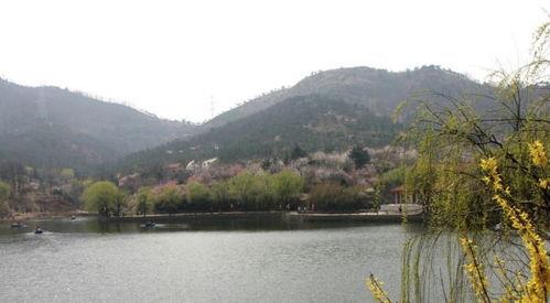 十梅庵今日爆料最新消息,今日最新爆料震撼来袭! 第1张 十梅庵今日爆料最新消息,今日最新爆料震撼来袭! 第1张