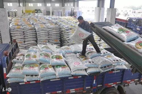 今日农村爆料大全,今日农村爆料大全深度解析 第3张 今日农村爆料大全,今日农村爆料大全深度解析 第3张