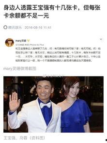 马蓉最新爆料陈思诚,陈思诚出轨真相曝光  第3张